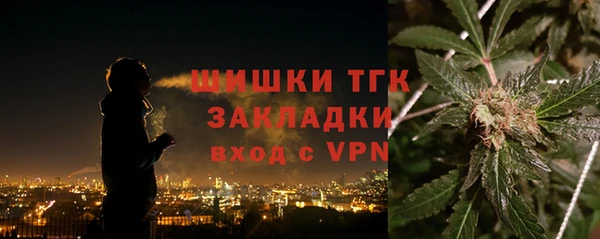 тгк Богородицк