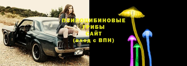 тгк Богородицк