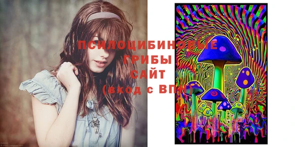тгк Бородино