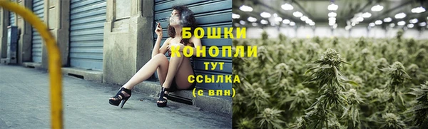 тгк Бородино