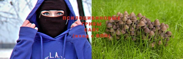 меф VHQ Богданович