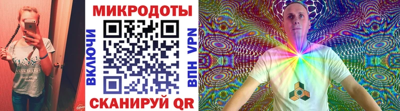 где найти наркотики  Брюховецкая  Галлюциногенные грибы Psilocybe 